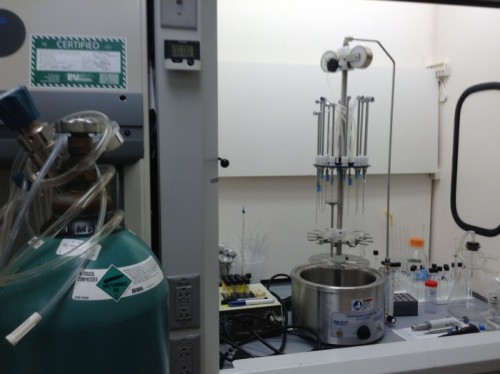 HP 6890/5973 GC/MS Equipment for Fatty Acid Extraction