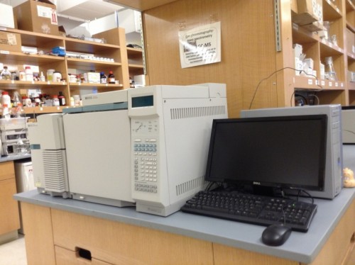 Equipment for Fatty Acid Extraction HP 6890/5973 CG/MS