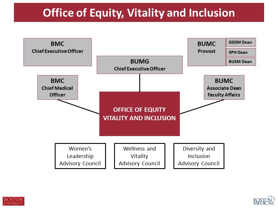 Boston University Organizational Chart