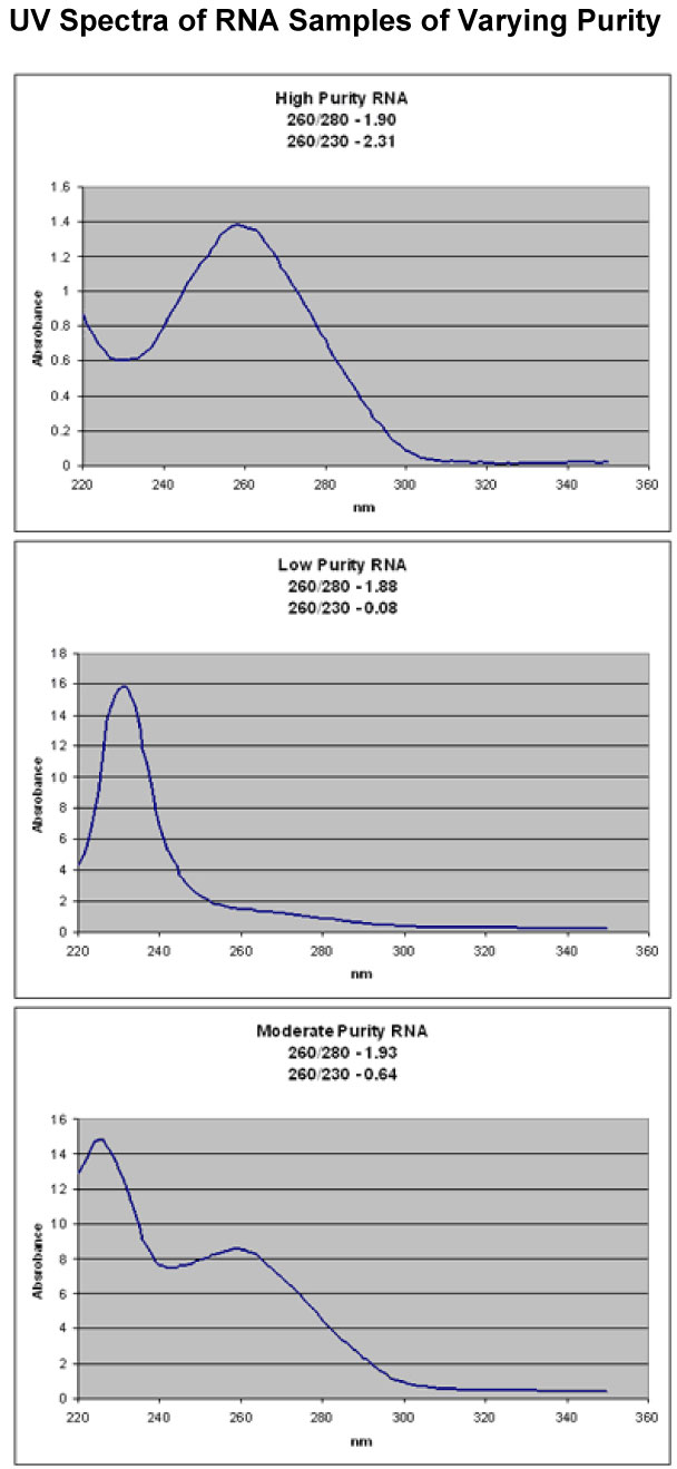 UV Spectra of High Purity RNA Sample