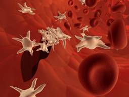 Red Blood Cells and Platelets. Image courtesy of S. Kaulitzki.