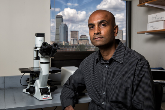 Anurag Singh, a MED assistant professor, studies NRAS in melanoma with a three-year grant from the Melanoma Research Alliance. Photo by Mike Spencer 