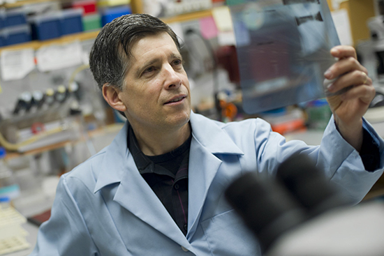 Alzheimer’s researcher Ben Wolozin has a new hypothesis that he’ll study with the help of a welcome infusion of federal money. Photo by Kalman Zabarsky
