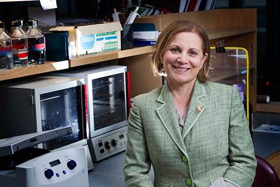Katya Ravid leads new University-wide Interdisciplinary Biomedical Research Office. Photo by Jackie Ricciardi