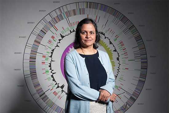 Sudha Seshadri, a School of Medicine professor of neurology, is senior author on a study that found a new genetic risk factor for stroke. Photo by Janice Checchio