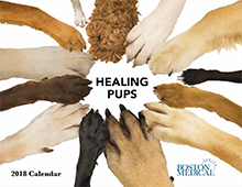 COM-pups calendar