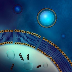 Nanodroplets for delivery of therapeutic agents. (Tyrone Porter, David Seldin). Image credit: Aysegul Yonet