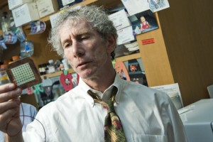 David Sherr hopes to find an inhibitor drug that could halt some breast cancers from metastasizing while preventing others altogether. Photo by Kalman Zabarsky