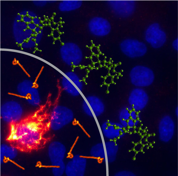 The compounds that inhibit the replication of genetically diverse viruses are illustrated as green molecules “blocking” spread of orange Ebola virus virions from an infected cell. Image by Filone and Connor; Ebola virus micrograph by Chris Reed at USAMRIID.