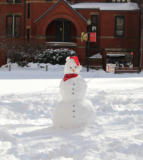 A snowman enjoys a sunny afternoon on Talbot Green! Photo by Sara Cody