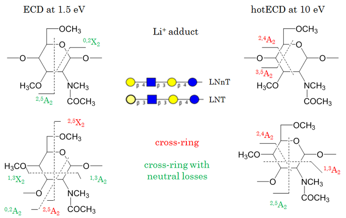 linkage differentiation