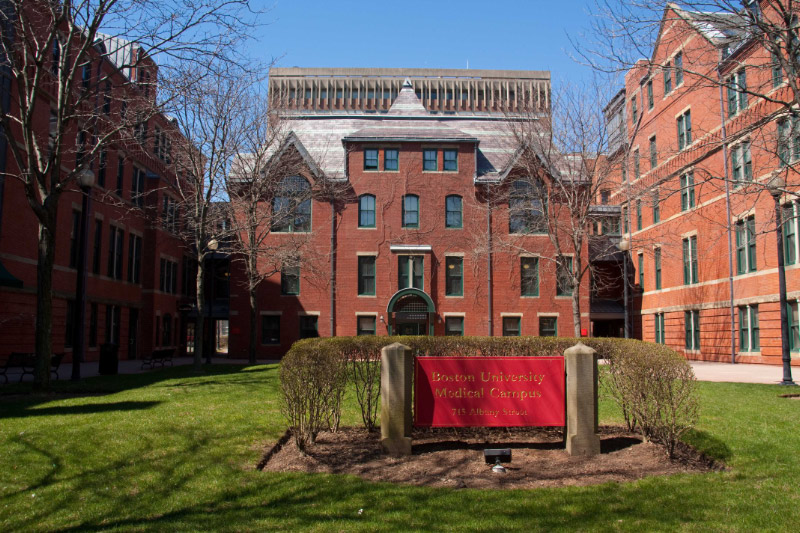 Boston University Phd Programs