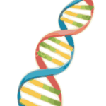 Genetic Icon
