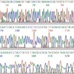 Seq data Seq data