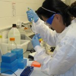 Student pipetting Student pipetting