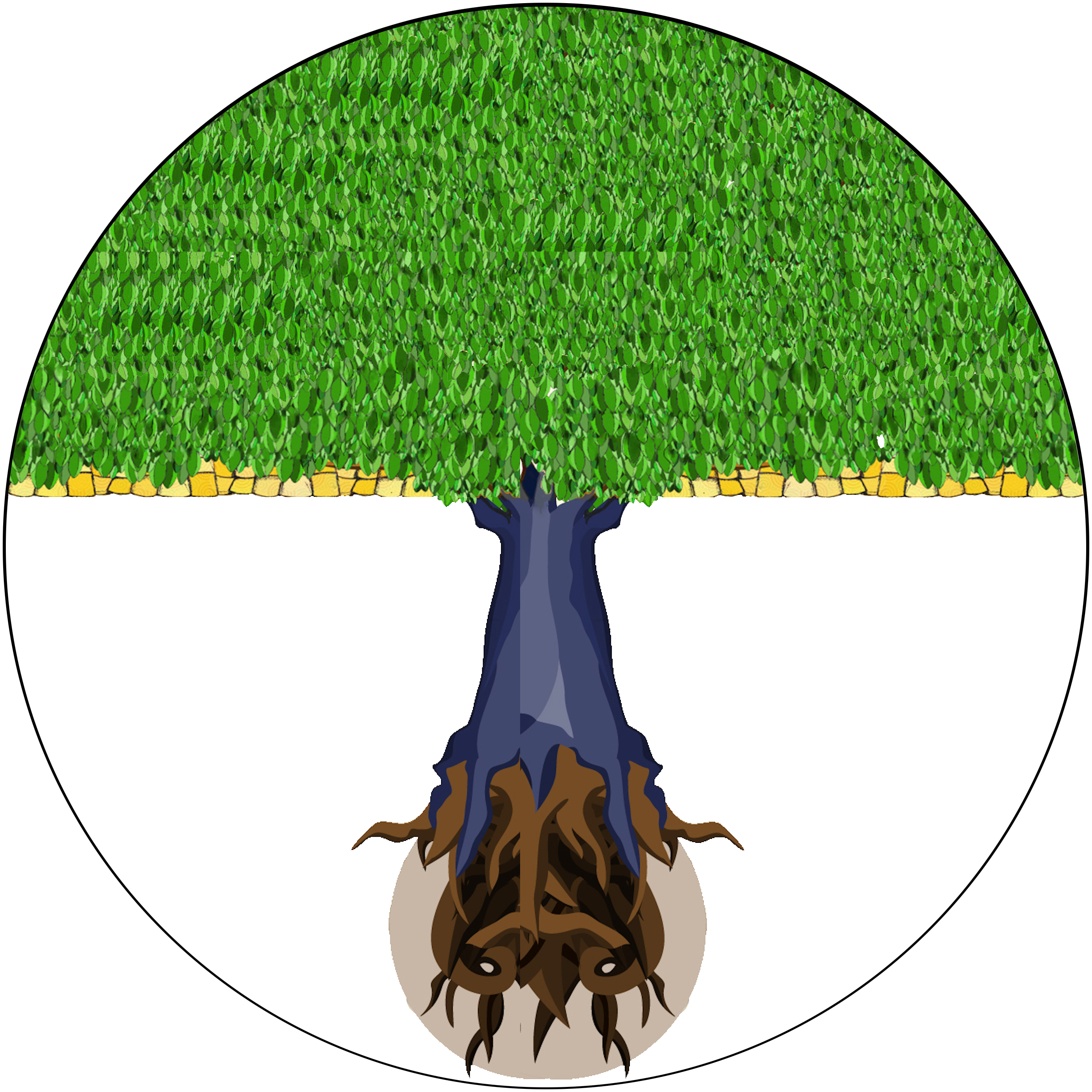 MACCP tree logo