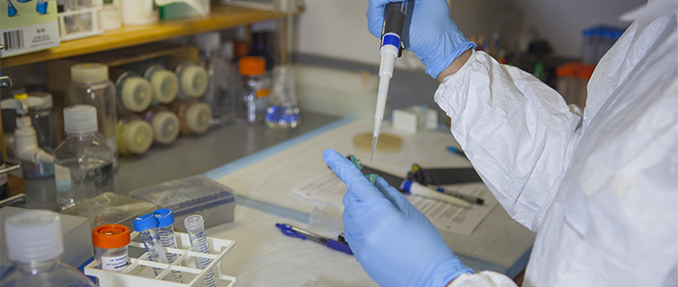 gloved hands inserting pipette into tube