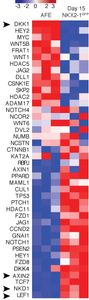 HEAT MAP