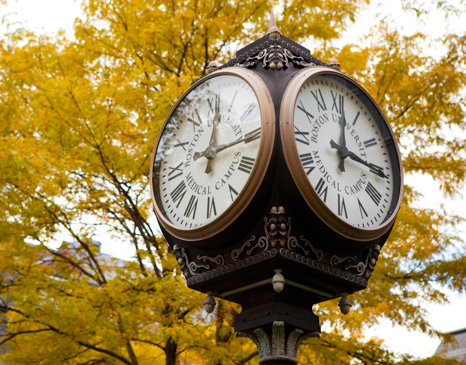 medical schools in boston - ezWide Search Results medical schools in boston - ezWide Search Results