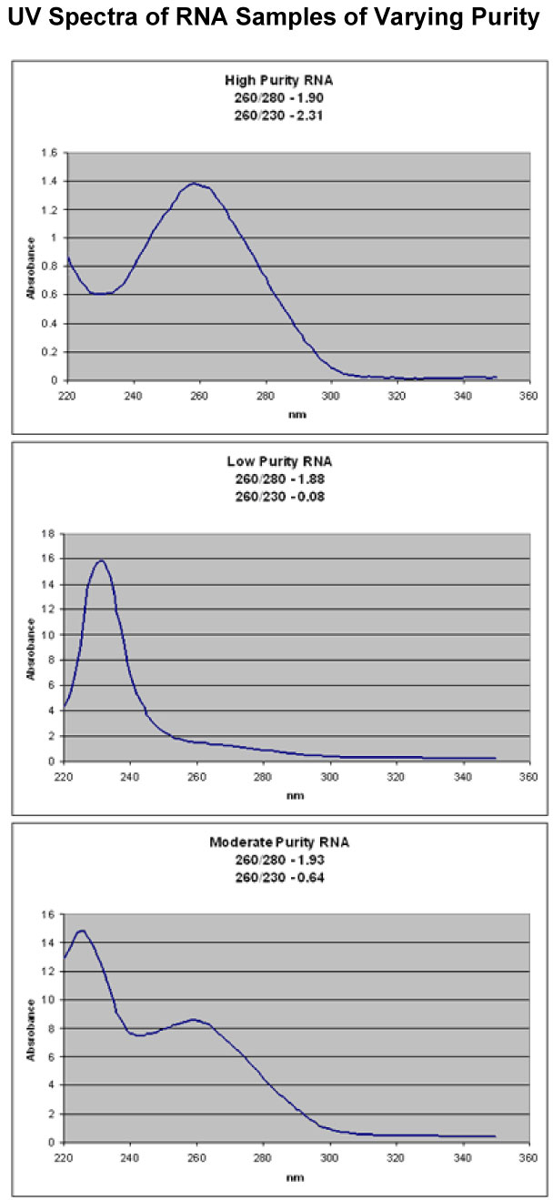 RNA Purity