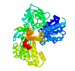 protein1