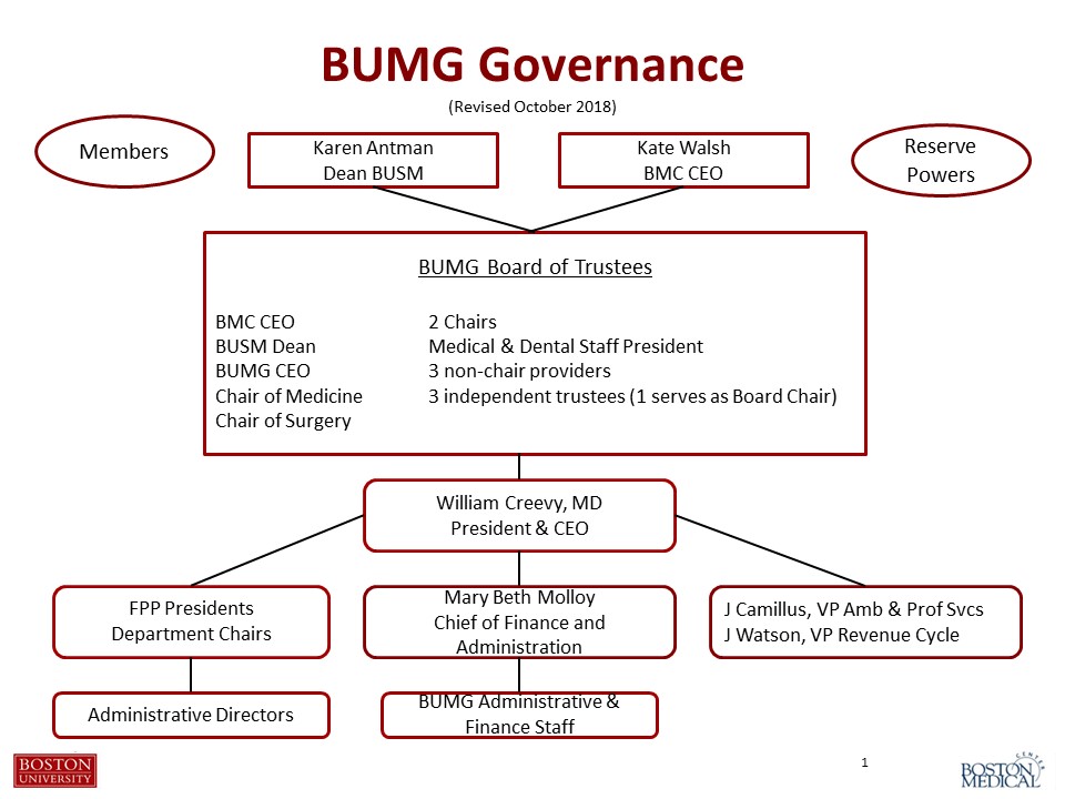 Organizational Chart Boston University Medical Group