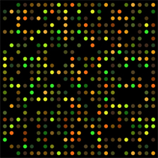 microarray3