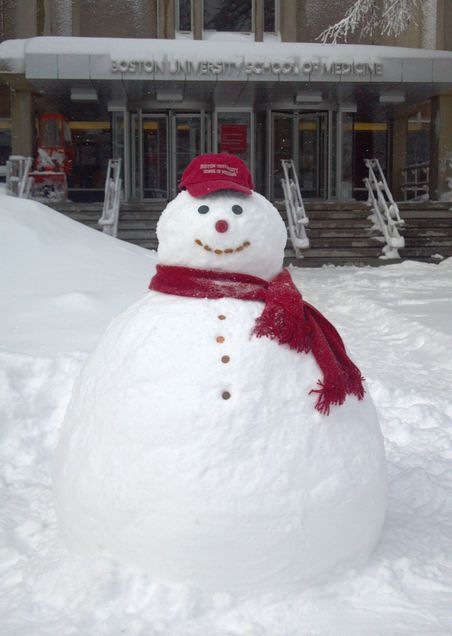 Introducing Nemo! Enjoying the sunshine after the blizzard. Photo by Betty Yang, BUSM MD Candidate 2015