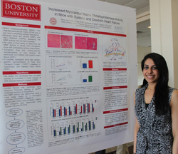 Research Symposium 2013 Agarwal web Parul Agarwal