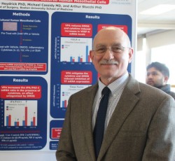 Research Symposium 2013 Stucchi web Arthur Stucchi