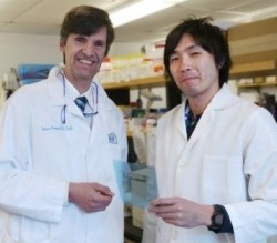 Takeuchi and Runger web Thomas M. Ruenger MD, PhD, and Hirotaka Takeuchi, MS.