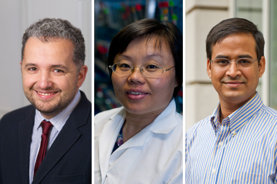 CAS’ Cornel Ban (from left) received the Stuart and Elizabeth Pratt Career Development Professorship; MED’s Hui Feng was awarded the Ralph Edwards Career Development Professorship; and SMG’s Nachiketa Sahoo received the Reidy Family Career Development Professorship.