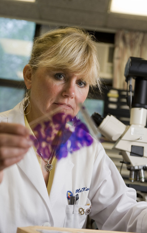 With the establishment of a national brain injury tissue bank, Ann McKee, a codirector of the Center for the Study of Traumatic Encephalopathy, and her MED colleagues will be able to share their findings with scientists around the world. Photo by Kalman Zabarsky