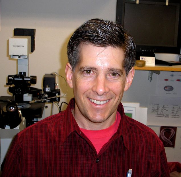 Dr. Benjamin Wolozin was awarded the Zenith Fellows Award for his work with Alzheimer's disease.