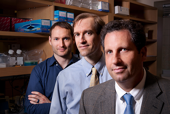 Three generations of scientists: Darrell Kotton (from right), Andrew Wilson, and Finn Hawkins. Funding for academic research can be frustrating, says Kotton, but “it’s really an amazing career. I wouldn’t trade it for anything.” Photo by Dan Watkins