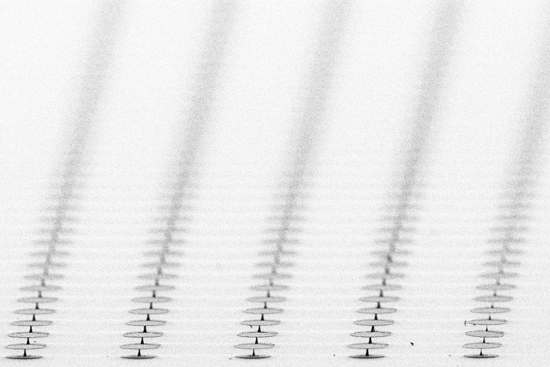 Scanning electron microscope image (above) of an array of microfabricated particles being developed for use as a multi-spectral magnetic resonance imaging (MRI) contrast agent. (Xin Zhang, Stephan Anderson)