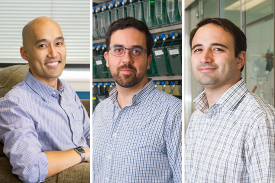 The Peter Paul Professorships have been awarded to Charles Chang (from left), a CAS assistant professor of linguistics, Daniel Cifuentes, a MED assistant professor of biochemistry, and Arturo Vegas, a CAS assistant professor of chemistry. Photos by Cydney Scott