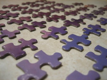 COM Alzheimer Puzzle