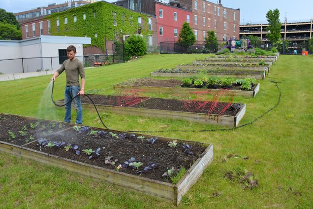 COM-mckeen gardening