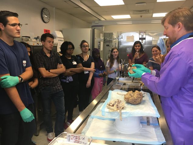 The BU Most (Boston University Museum of Science Together) program provides STEM opportunities at Boston University for teen interns from the Museum of Science. This summer, 25 teens toured the VA BU CLF brain bank. Assistant Professor of Neurology Bertrand Huber, MD, PhD, works with a donated brain as he describes the physical signs that neuropathologists look for to detect diseases. 