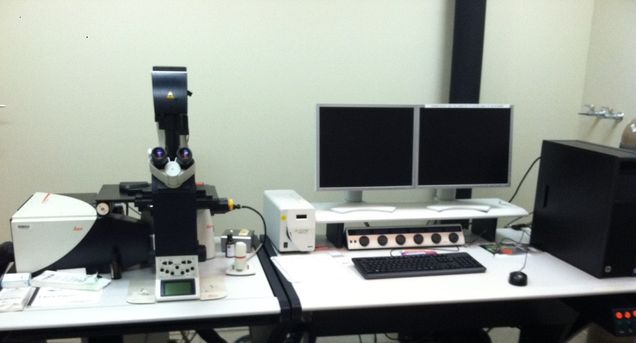 Leica SP5 Confocal Microscope