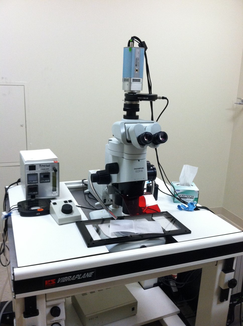 Olympus Stereo Fluorescence Imaging Microscope Chobanian & Avedisian
