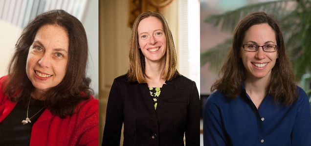 BU has three National Science Foundation grants to promote diversity in STEM fields; the principal investigators are Linda Hyman, associate provost for the Division of Graduate Medical Sciences (from left), Sarah Hokanson, director of professional development and postdoctoral affairs, and Pamela Templer, a CAS professor of biology. Hyman photo by Vernon Doucette. Hokanson photo by Dan Aguirre. Templer photo by Mike Spencer.