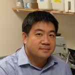 Headshot of Dr. Lau