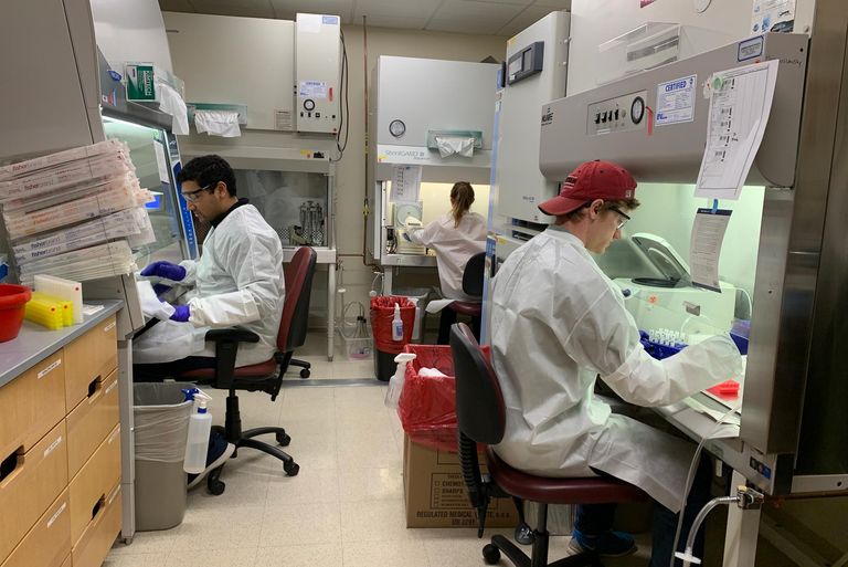 Two students conducting research in a laboratory