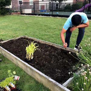 Sean planting raised bed