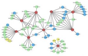 Data Science Visual graphic