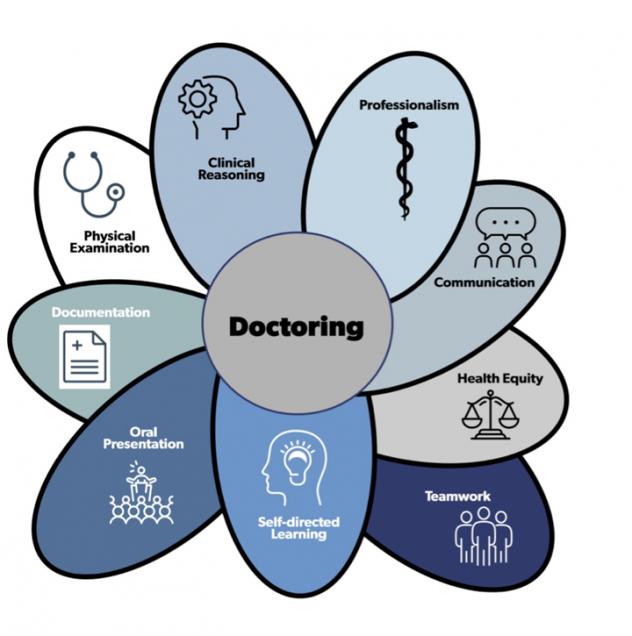 The Ten Doctoring Domains: Professionalism, Communication, Health Equity, Teamwork, Self-directed Learning, Oral Presentation, Documentation, Physical Examination, and Clinical Reasoning