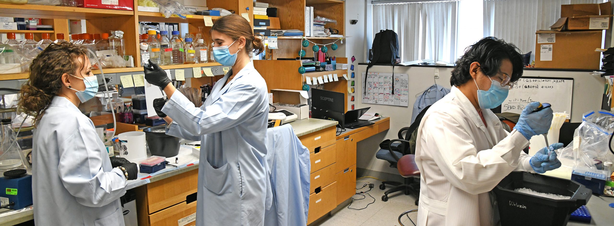 Three students wearing white lab coats and gloves working in lab