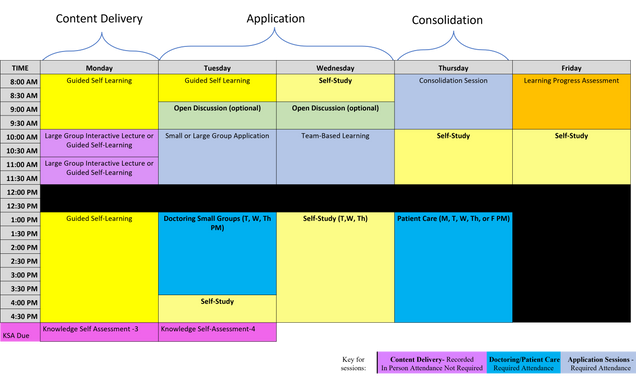 PISCEs Week 2 Instructional Design: Content Delivery, Application, and Consolidation Sessions